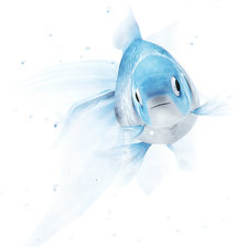 Схема вышивки «рибка»