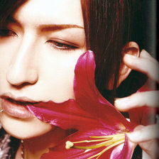 Схема вышивки «Tora»