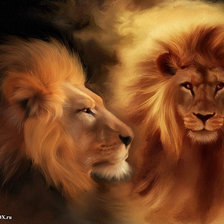 Схема вышивки «Огненный лев»