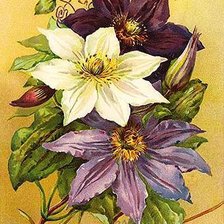 Схема вышивки «цветы»