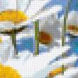 Предпросмотр схемы вышивки «ромашки» (№117144)