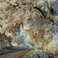 Схема вышивки «иней на ветках»
