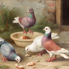 Схема вышивки «голуби»