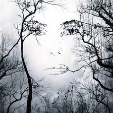 Схема вышивки «№117405»