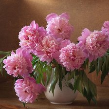 Схема вышивки «№117426»