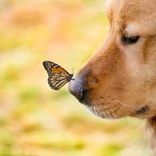 Схема вышивки «№117459»