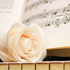 Схема вышивки «Роза»