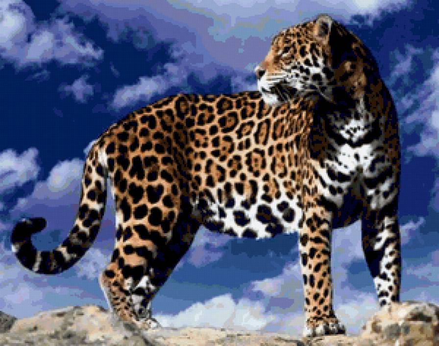 леопард - кошки, хищники - предпросмотр