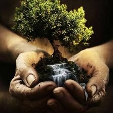 Схема вышивки «древо жизни»