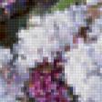 Предпросмотр схемы вышивки «Сирень» (№117697)