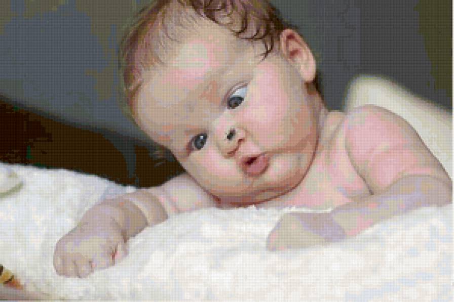 Малыш и муха - предпросмотр