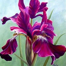 Схема вышивки «Ирисы»