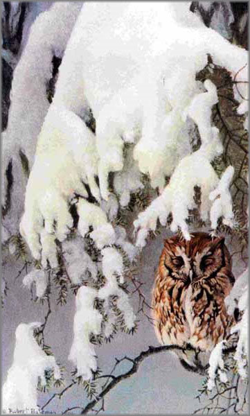 Серия "Птицы" - зима, пейзаж, совы, филины, птицы - оригинал