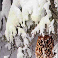 Схема вышивки «Серия "Птицы"»