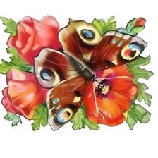 Схема вышивки «Бабочка»