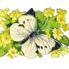 Схема вышивки «Бабочка»