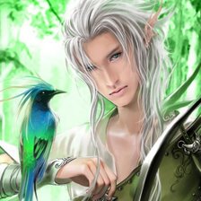 Схема вышивки «Эльф 1»