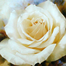 Схема вышивки «Роза»