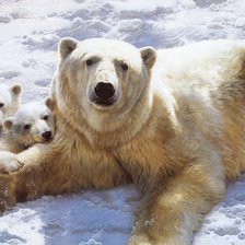 Схема вышивки «Медведица с медвежатами»