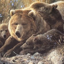 Схема вышивки «Медведица с медвежатами»