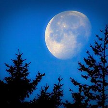 Схема вышивки «Луна»