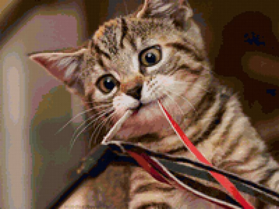 Котёнок - животные, кошки - предпросмотр