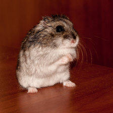 Схема вышивки «джуля»