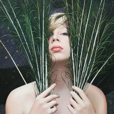 Схема вышивки «№118864»