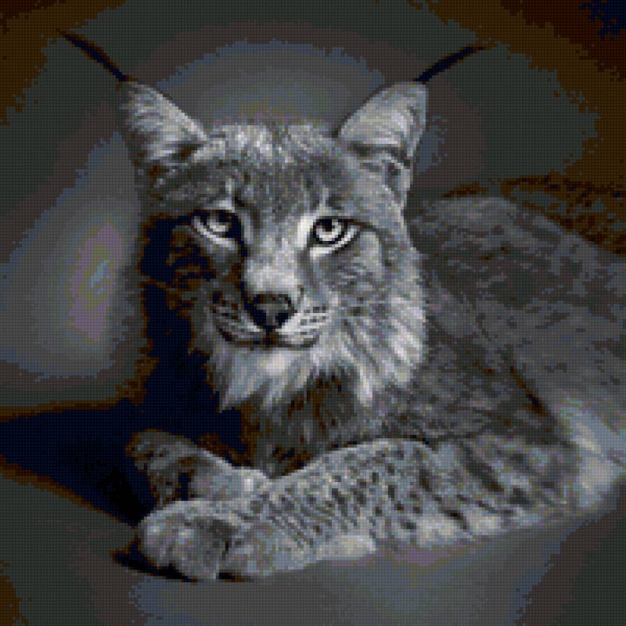 Рысь - животные, львы, кошки - предпросмотр