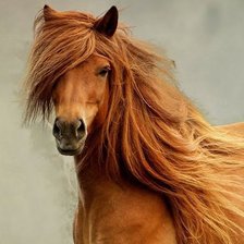 Схема вышивки «лошадка»