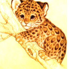 Схема вышивки «рысенок»