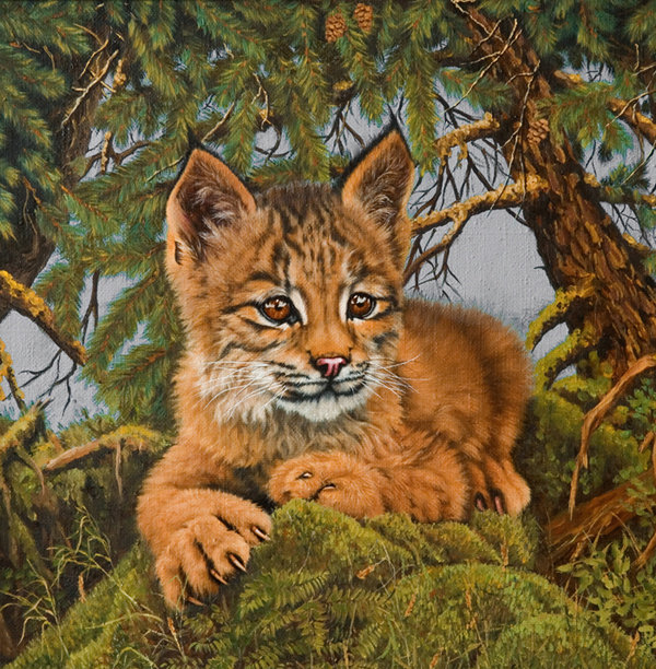 рысенок - хищники, кошки - оригинал