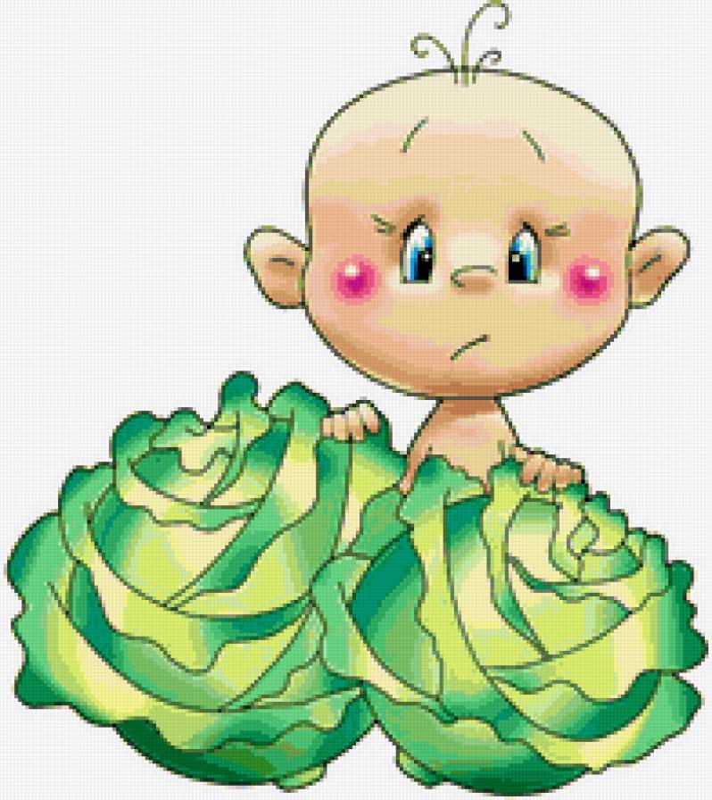 малыш в капусте - овощи, дети, метрика - предпросмотр