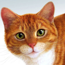 Схема вышивки «котик»