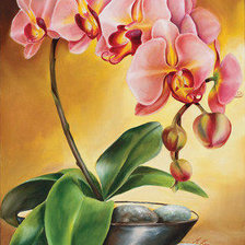 Схема вышивки «Розовый цветок»