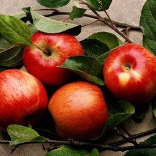 Схема вышивки «Яблоки»