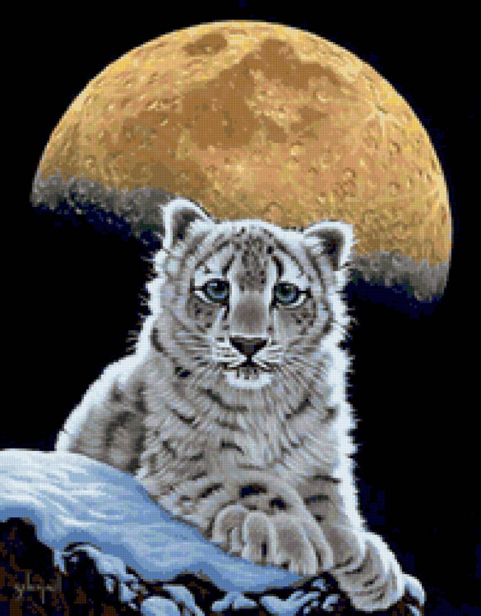 Variant 2 - предпросмотр