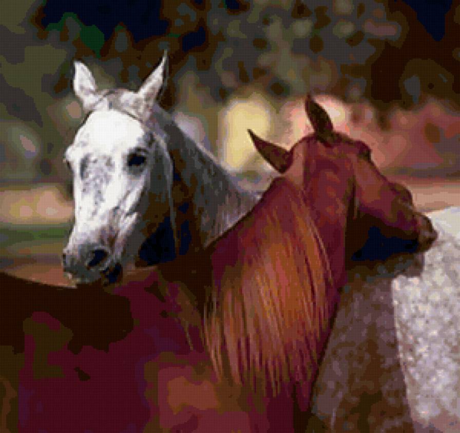 Пара лошадей - животные, лошади - предпросмотр