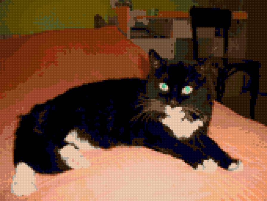 Мася - предпросмотр