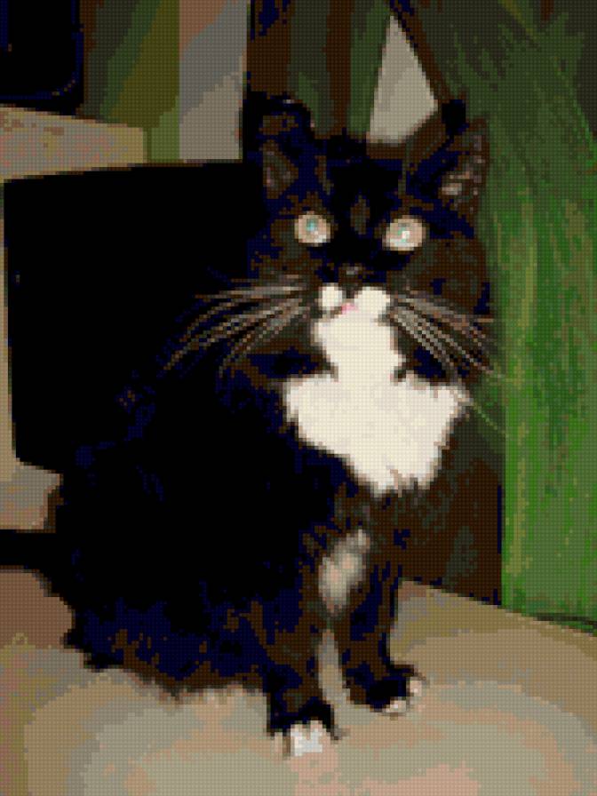 Масик - предпросмотр