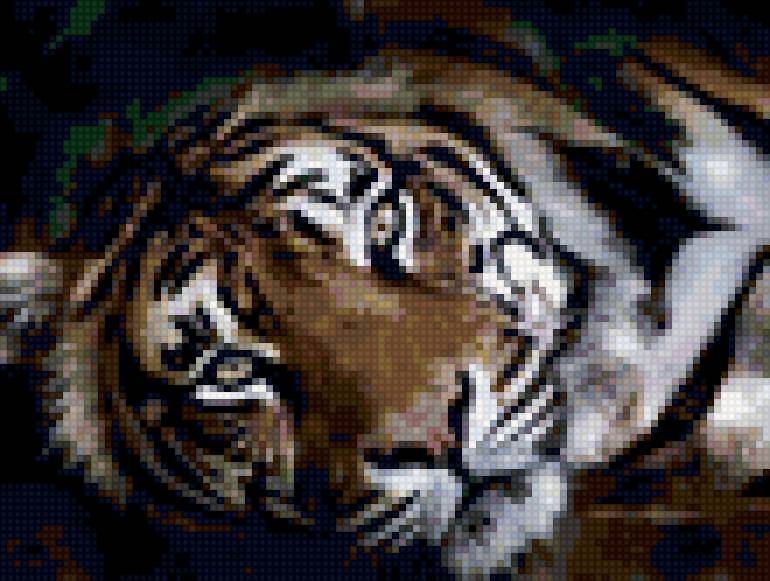 Взор тигра - тигр, животные - предпросмотр