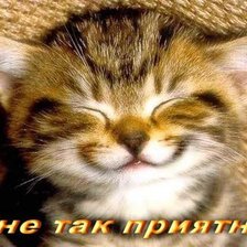 Схема вышивки «Прикол»