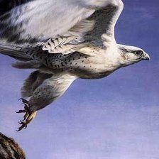 Схема вышивки «Серия "Птицы"»