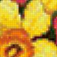 Предпросмотр схемы вышивки «Нарциссы» (№119438)