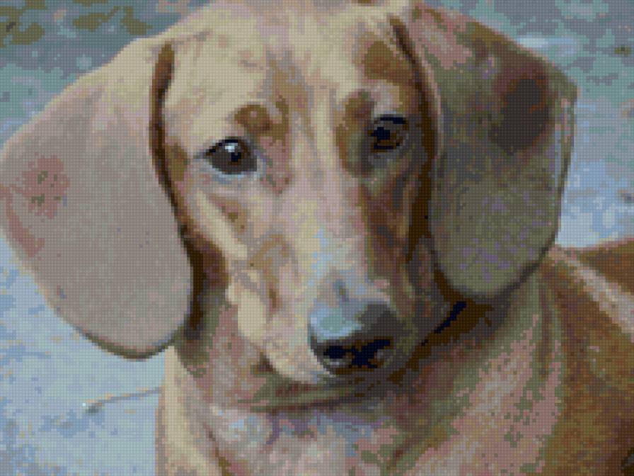 моя Плюша! - предпросмотр