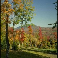 Схема вышивки «осень»