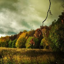 Схема вышивки «уж небо осенью дышало»