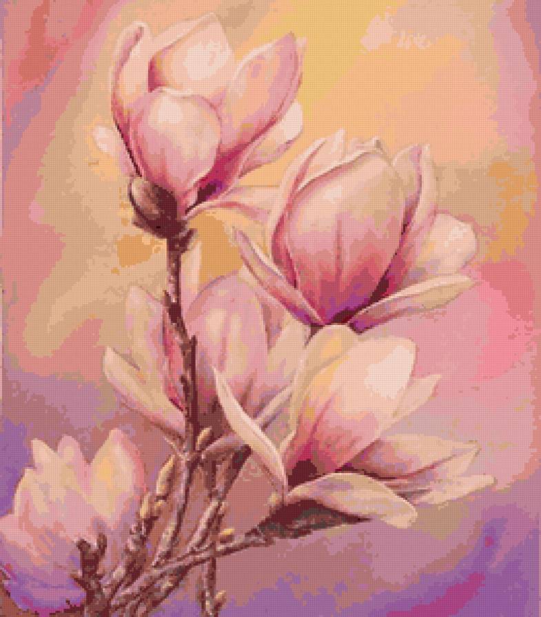 магнолия - цветы, нежность - предпросмотр