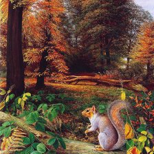 Схема вышивки «белочка»