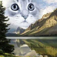 Схема вышивки «пейзаж»